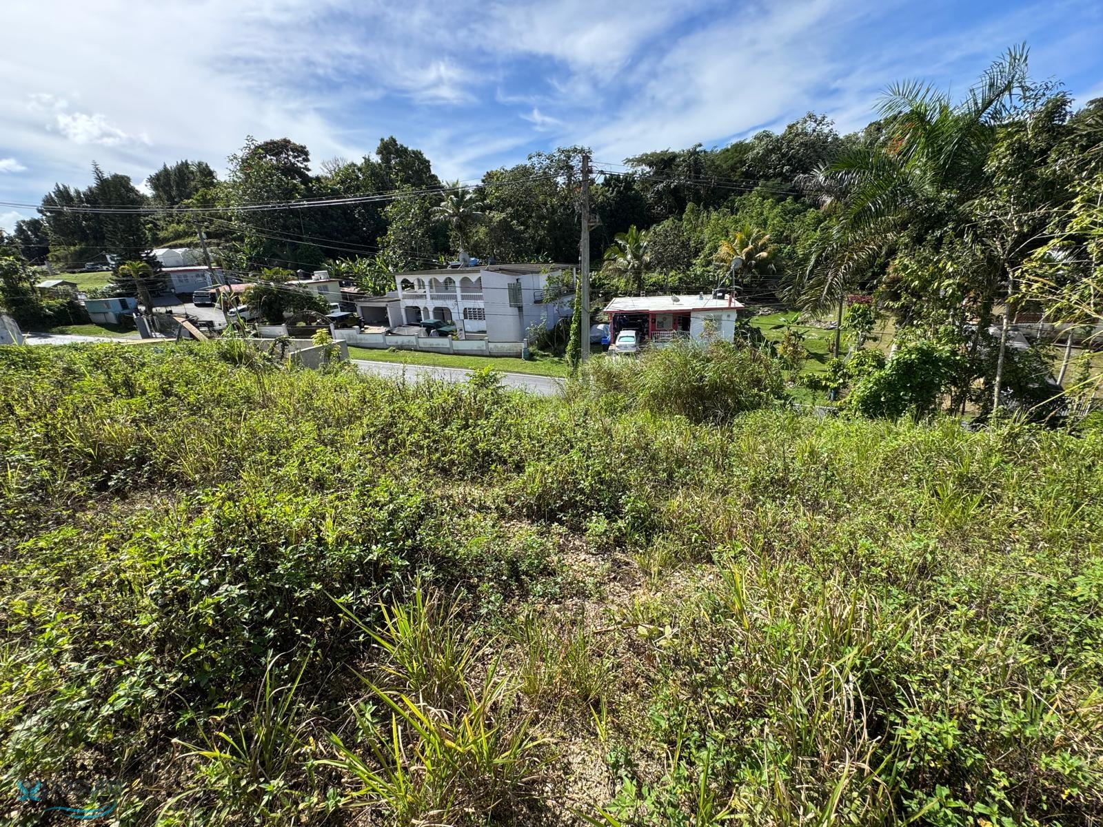 Terreno en Venta - Camuy