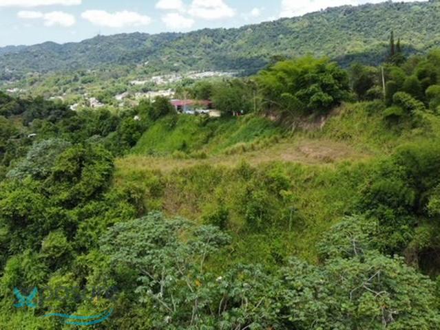 Terreno en Venta - Utuado