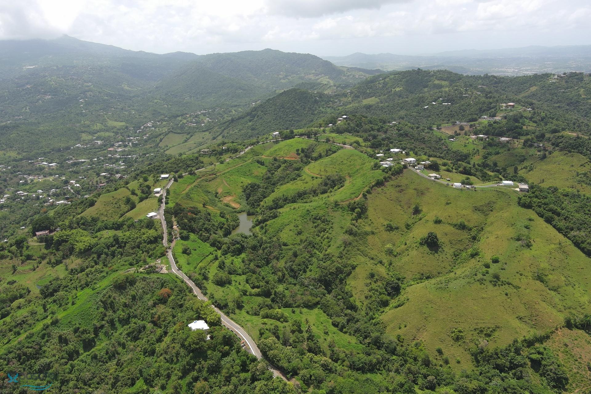 Terreno en Venta - Carolina