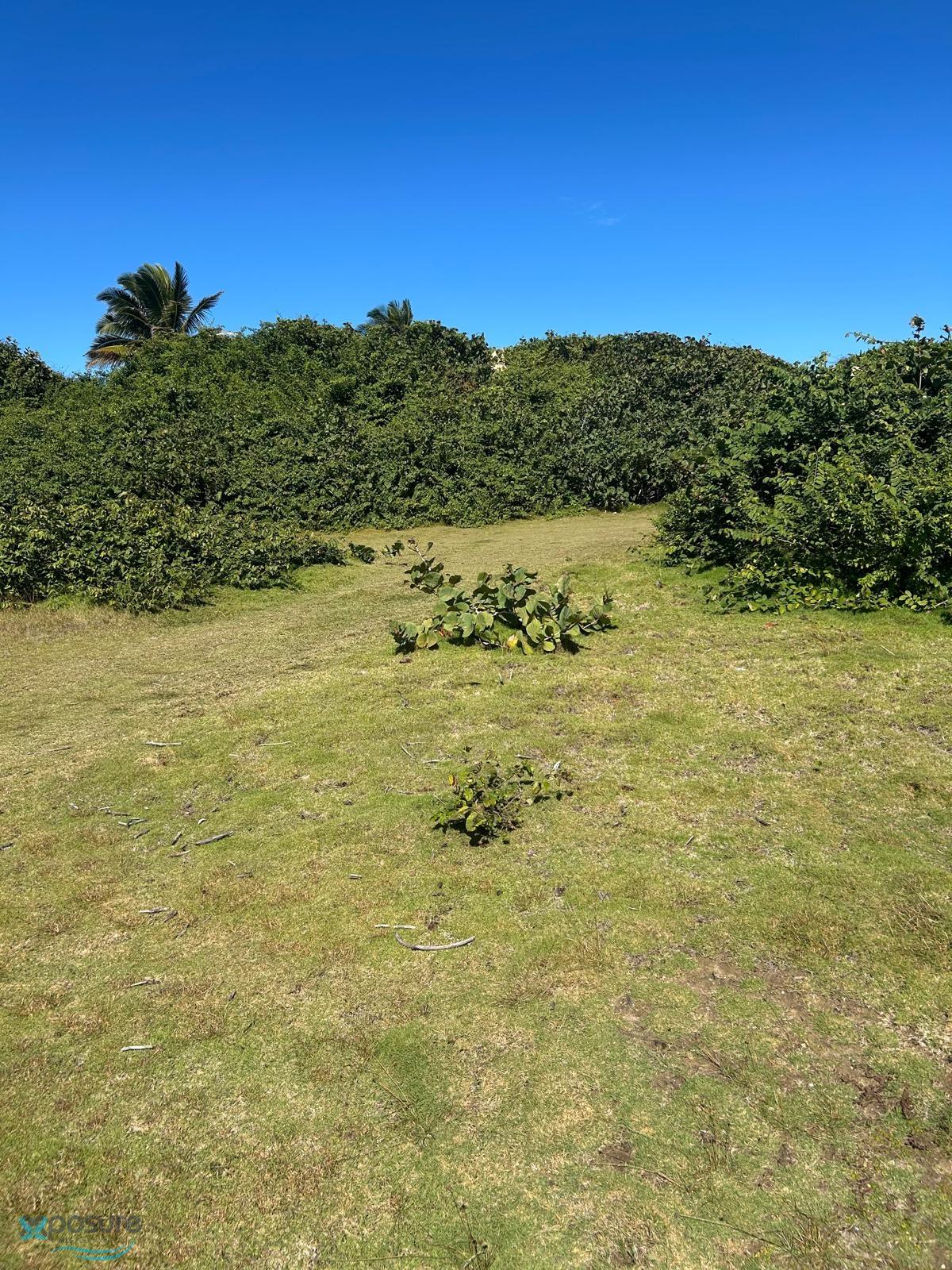 Terreno en Venta - Isabela