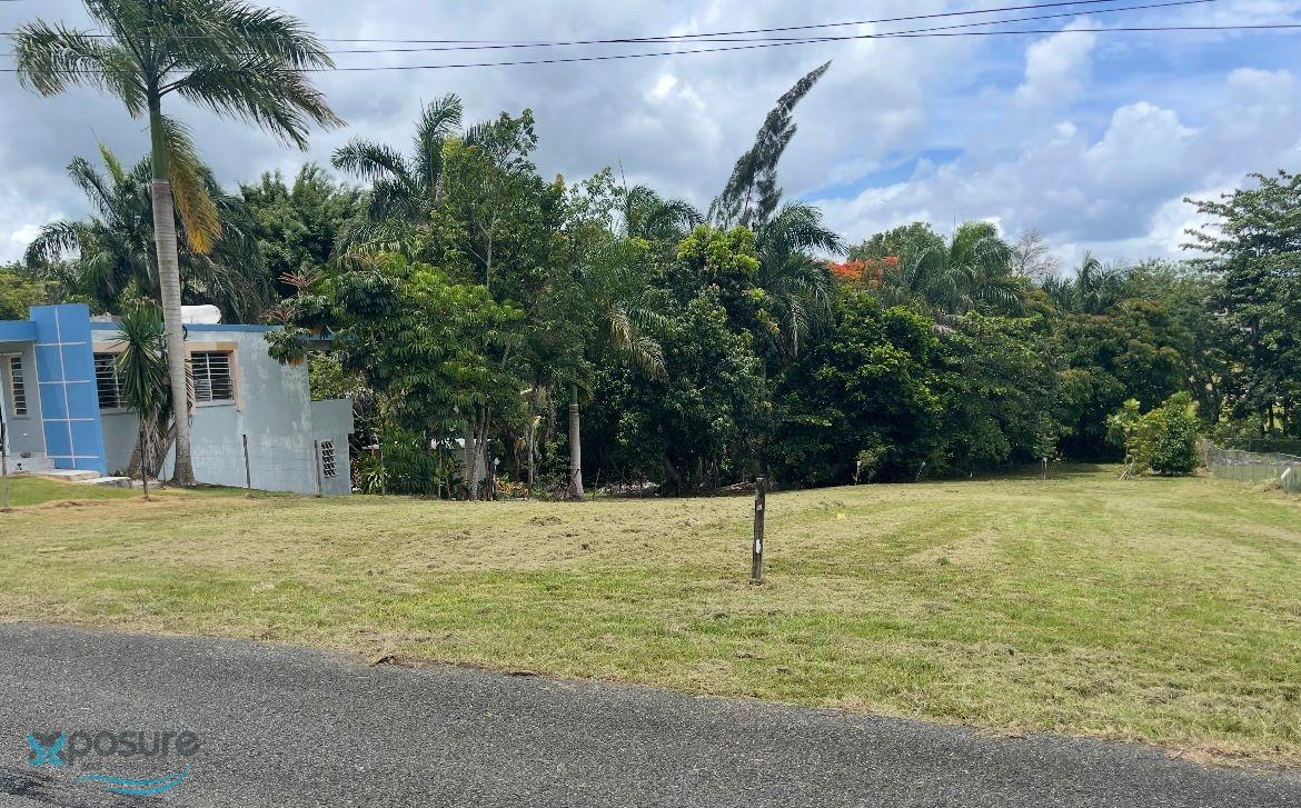Terreno en Venta - Aibonito