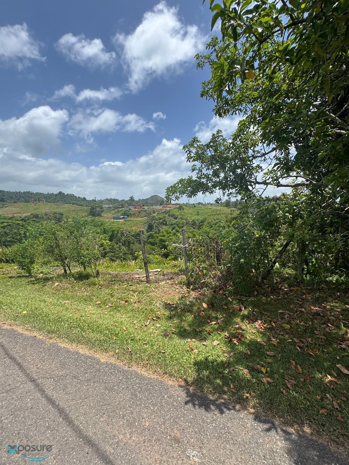 Terreno en Venta - Moca