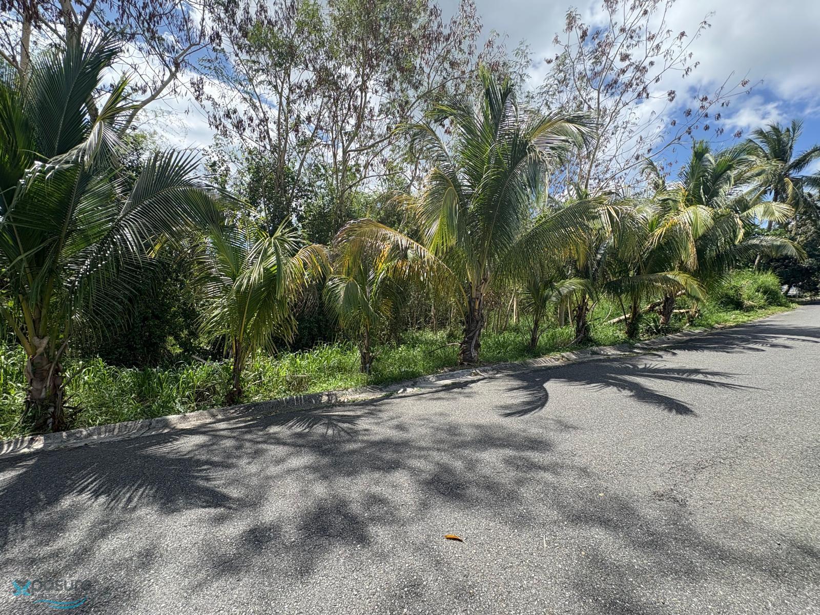 Terreno en Venta - Guanajibo