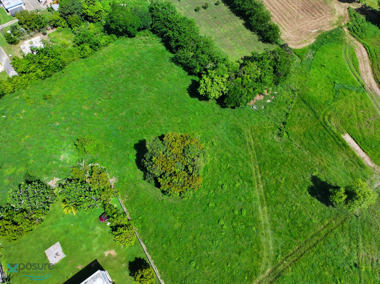 Terreno en Venta - Camuy