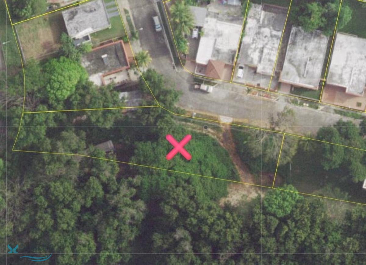 Terreno en Venta - Coamo