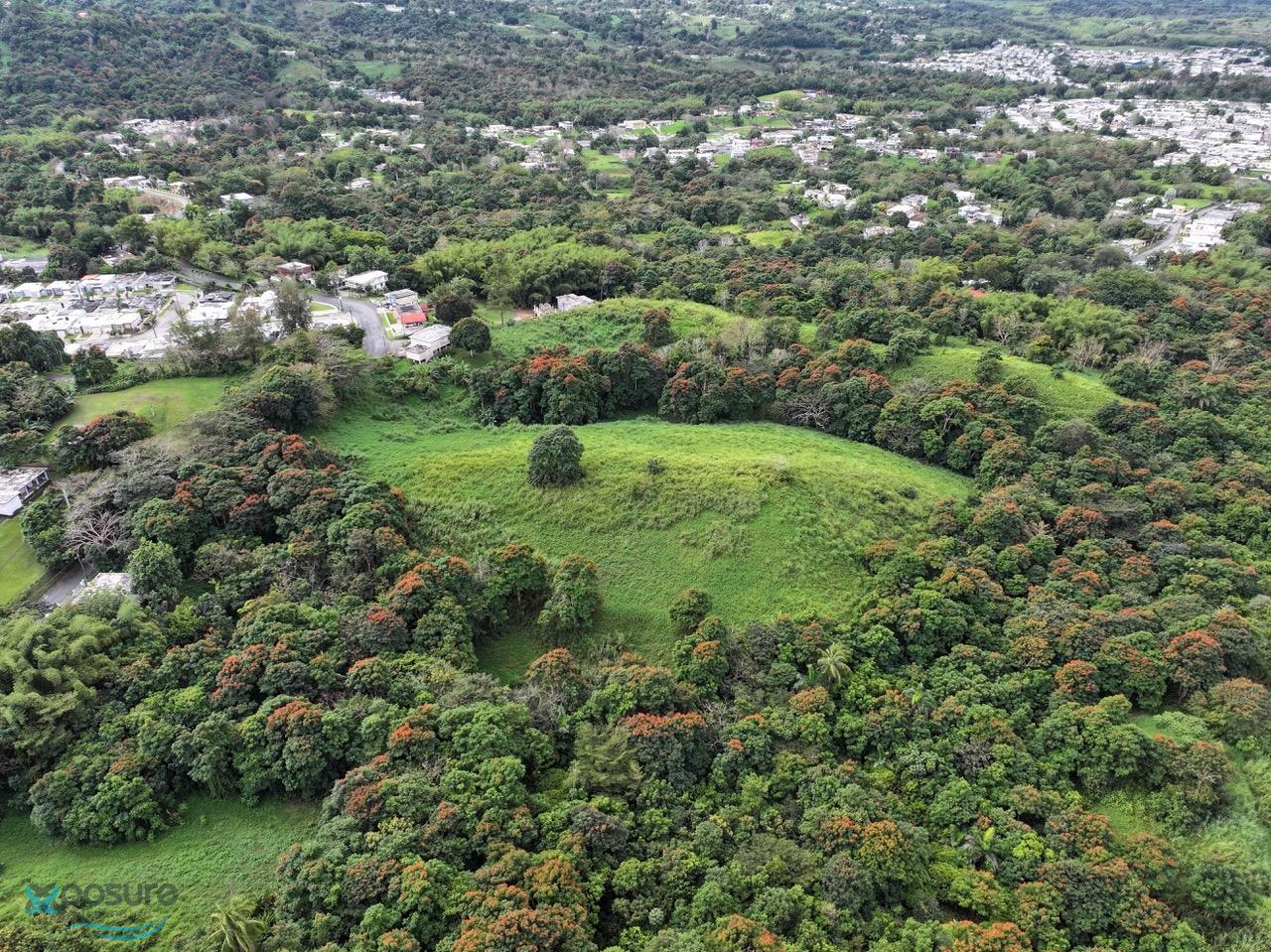 Terreno en Venta - Florida