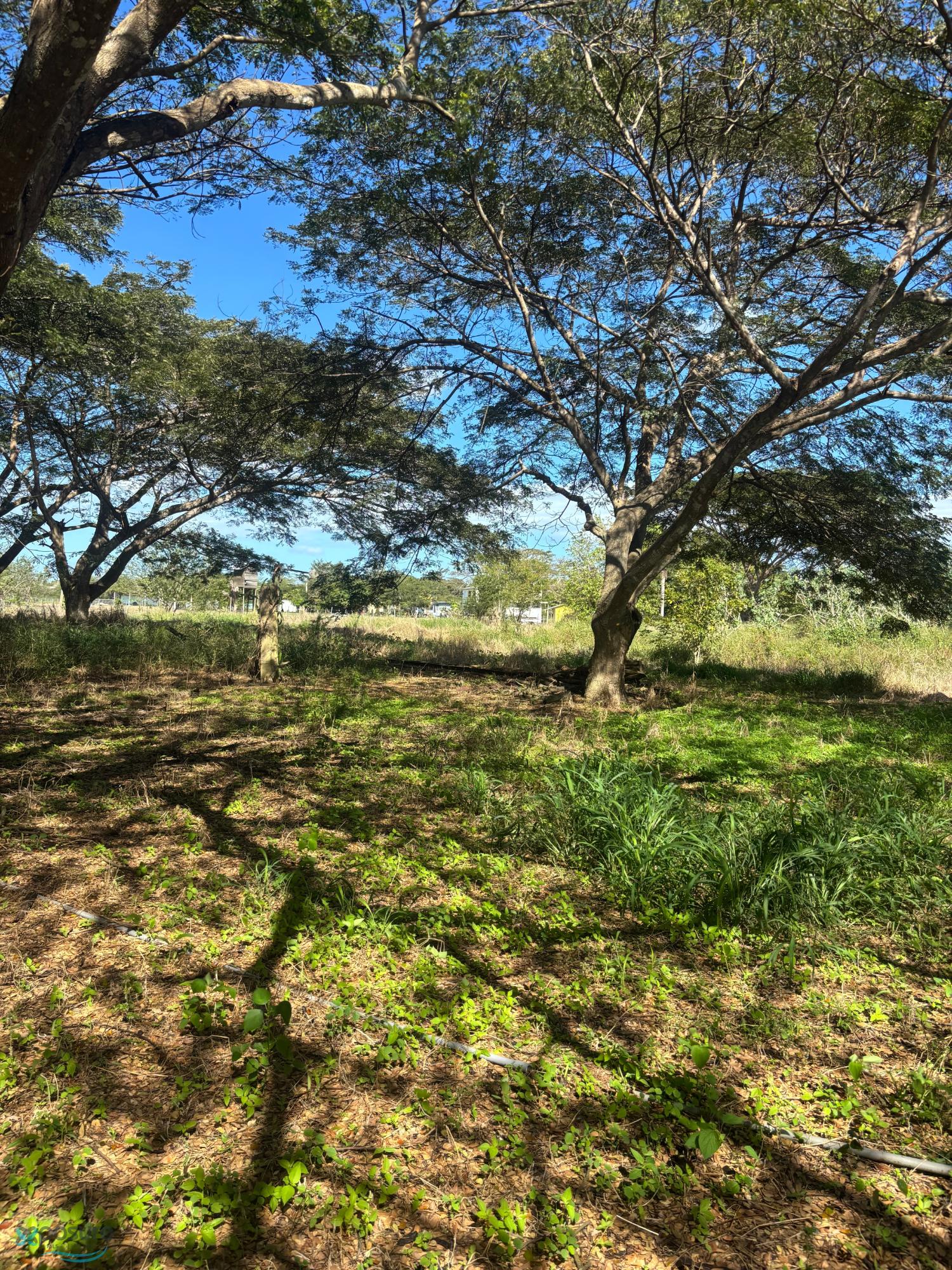 Terreno en Venta - LLanos Costas