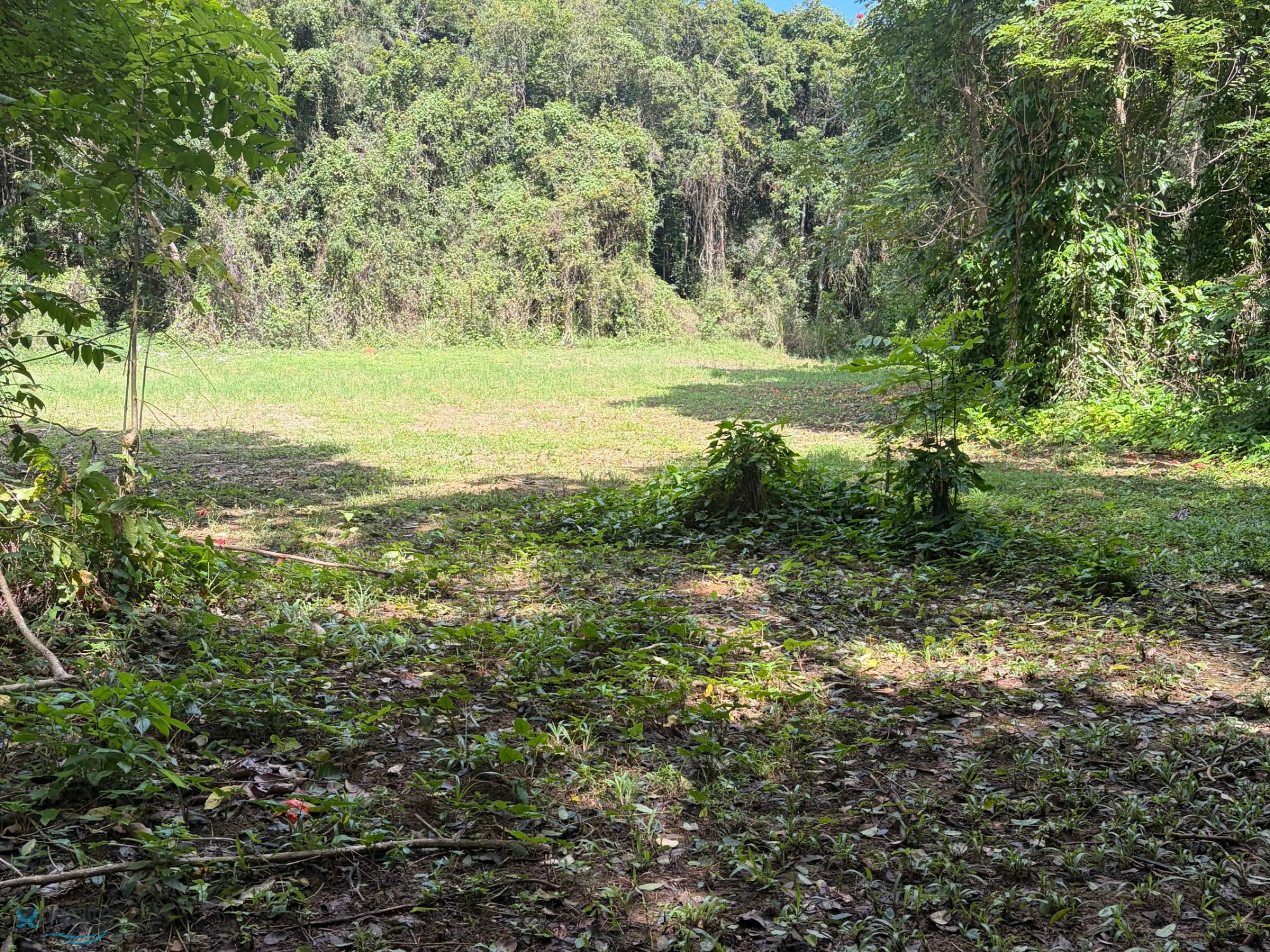 Terreno en Venta - Barceloneta