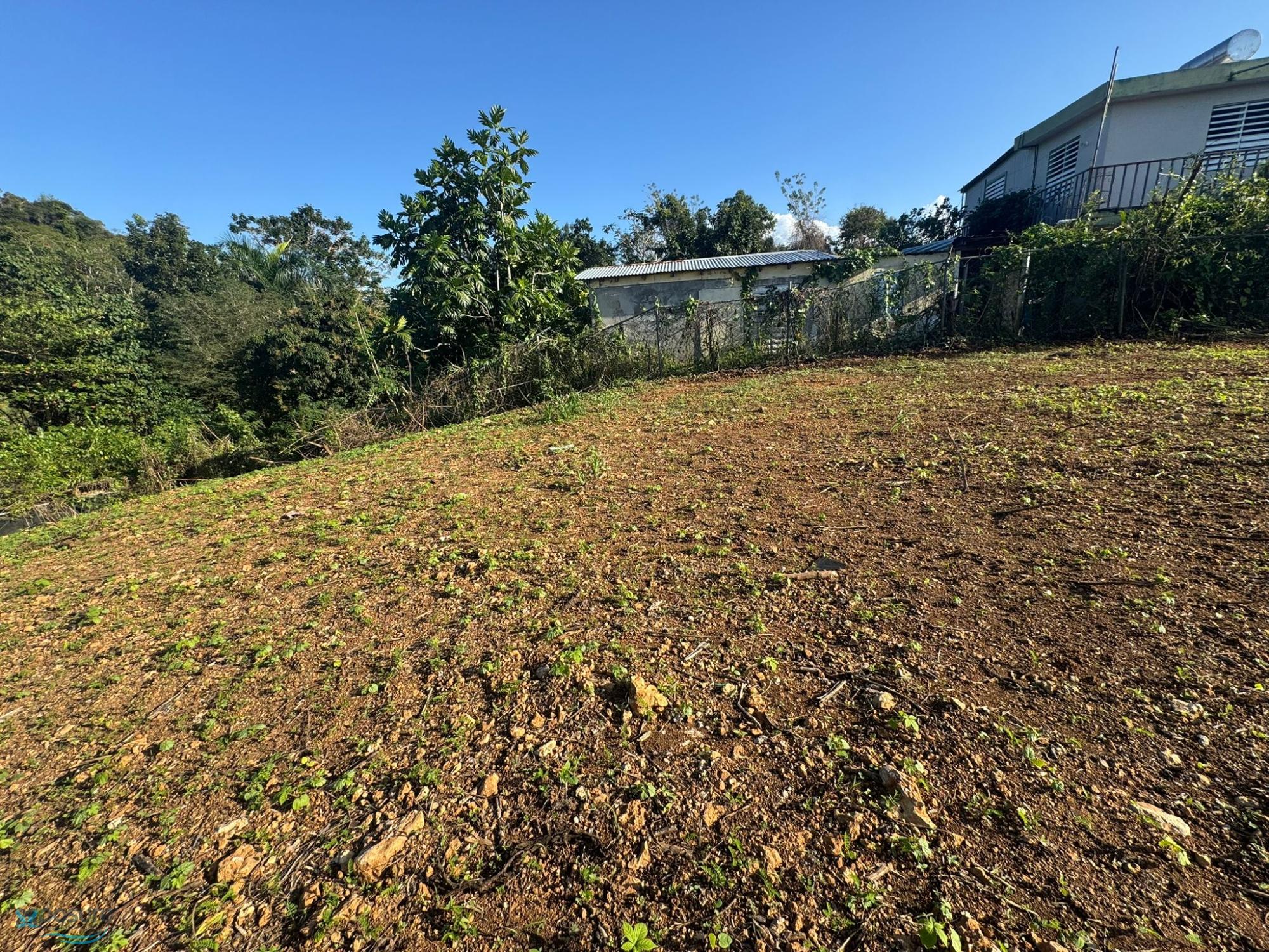Terreno en Venta - Arecibo
