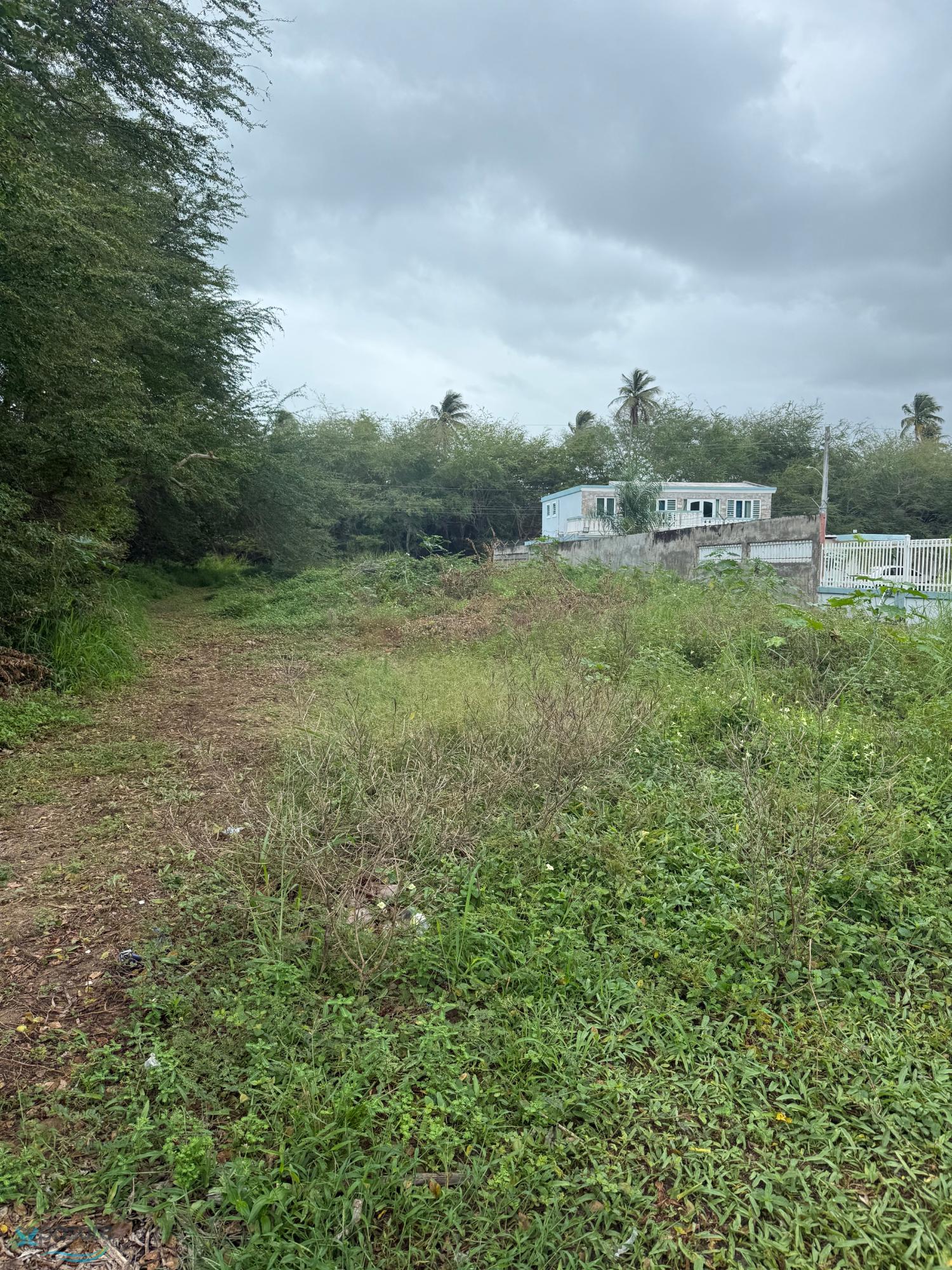 Terreno en Venta - Loíza