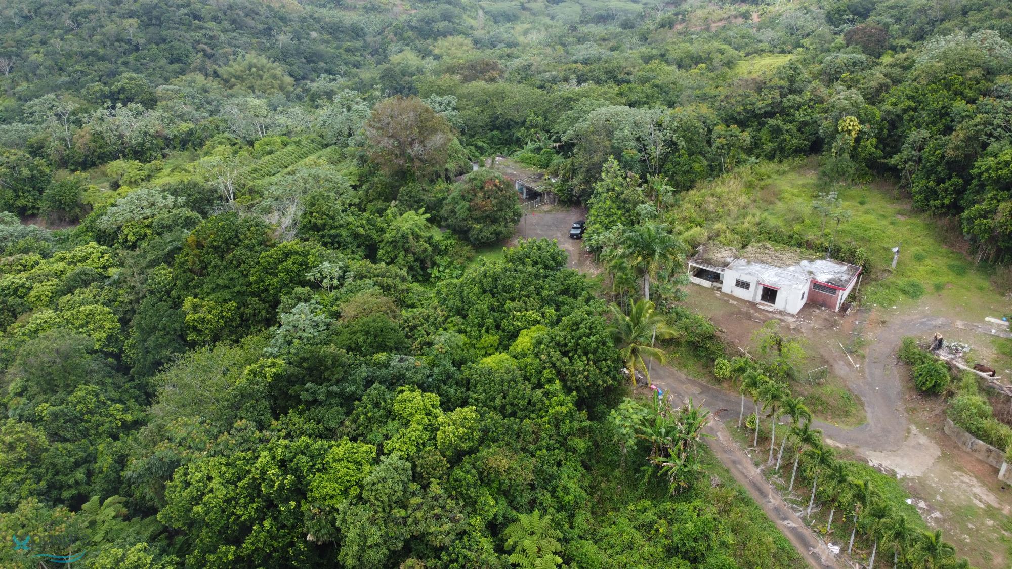 Terreno en Venta - Lares
