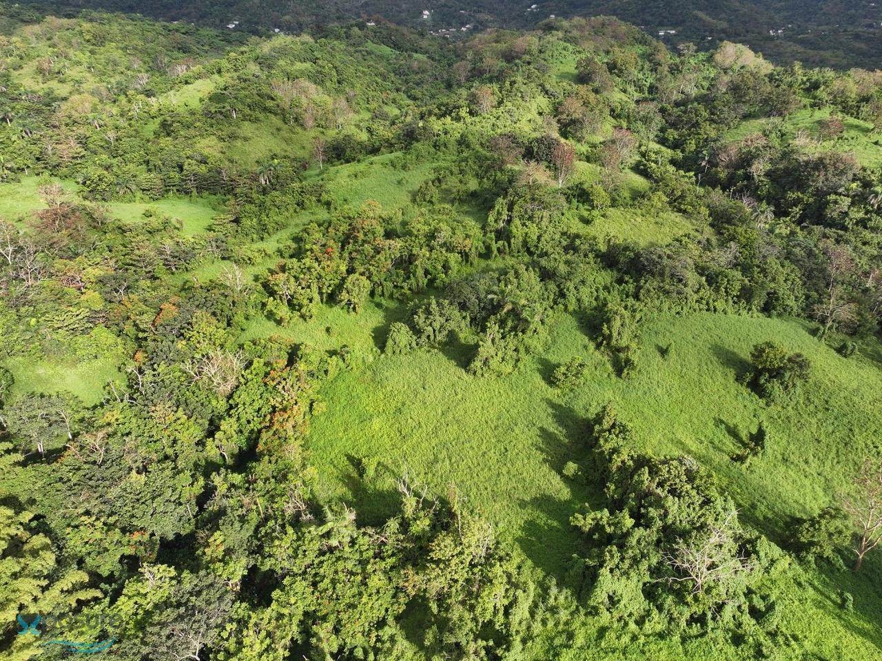 Terreno en Venta - San Lorenzo