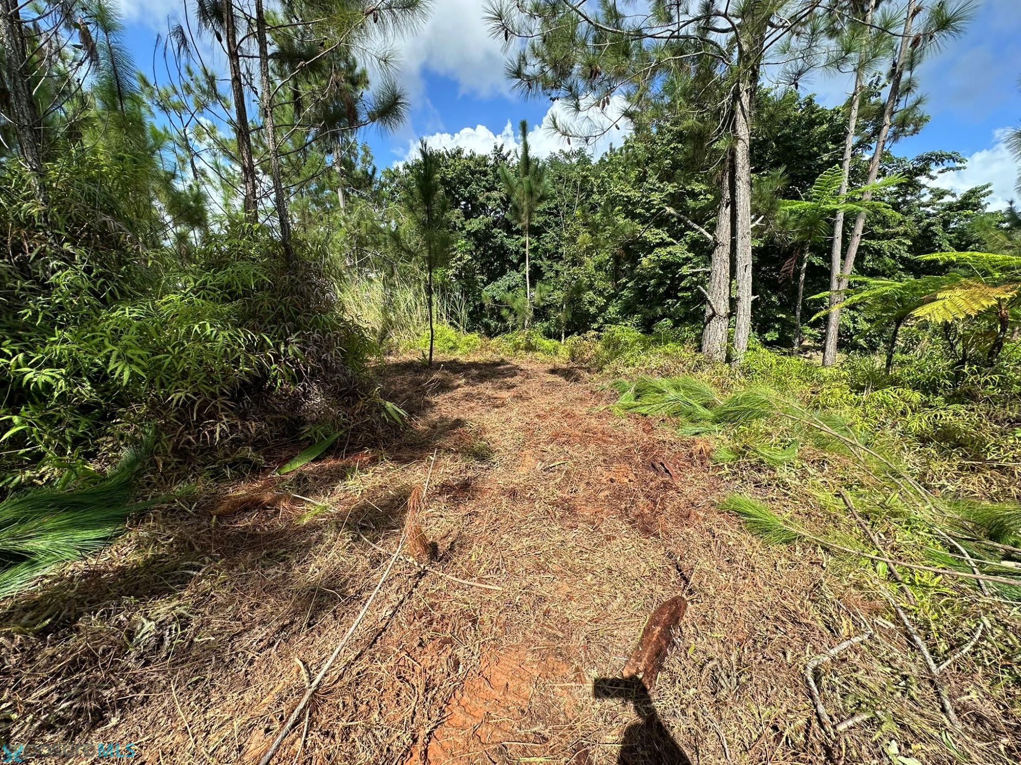 Terreno en Venta - Cidra