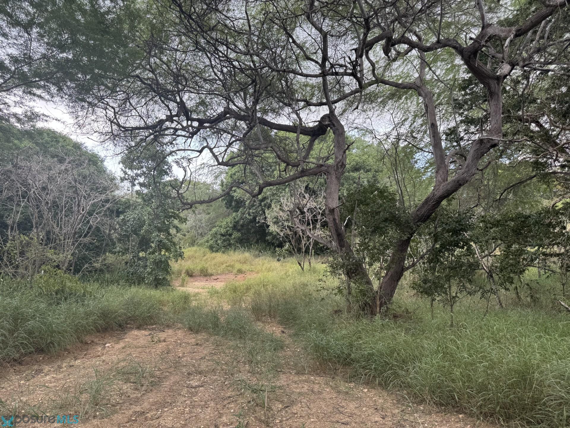 Terreno en Venta - LLanos Costas