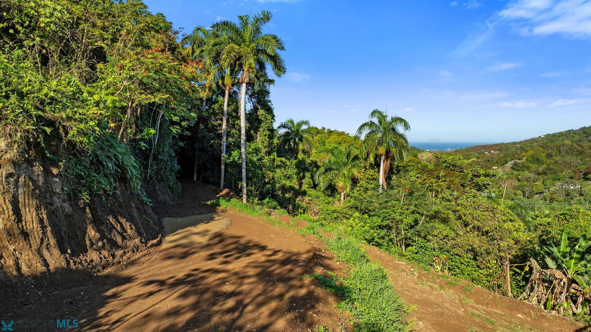Terreno en Venta - Rincon
