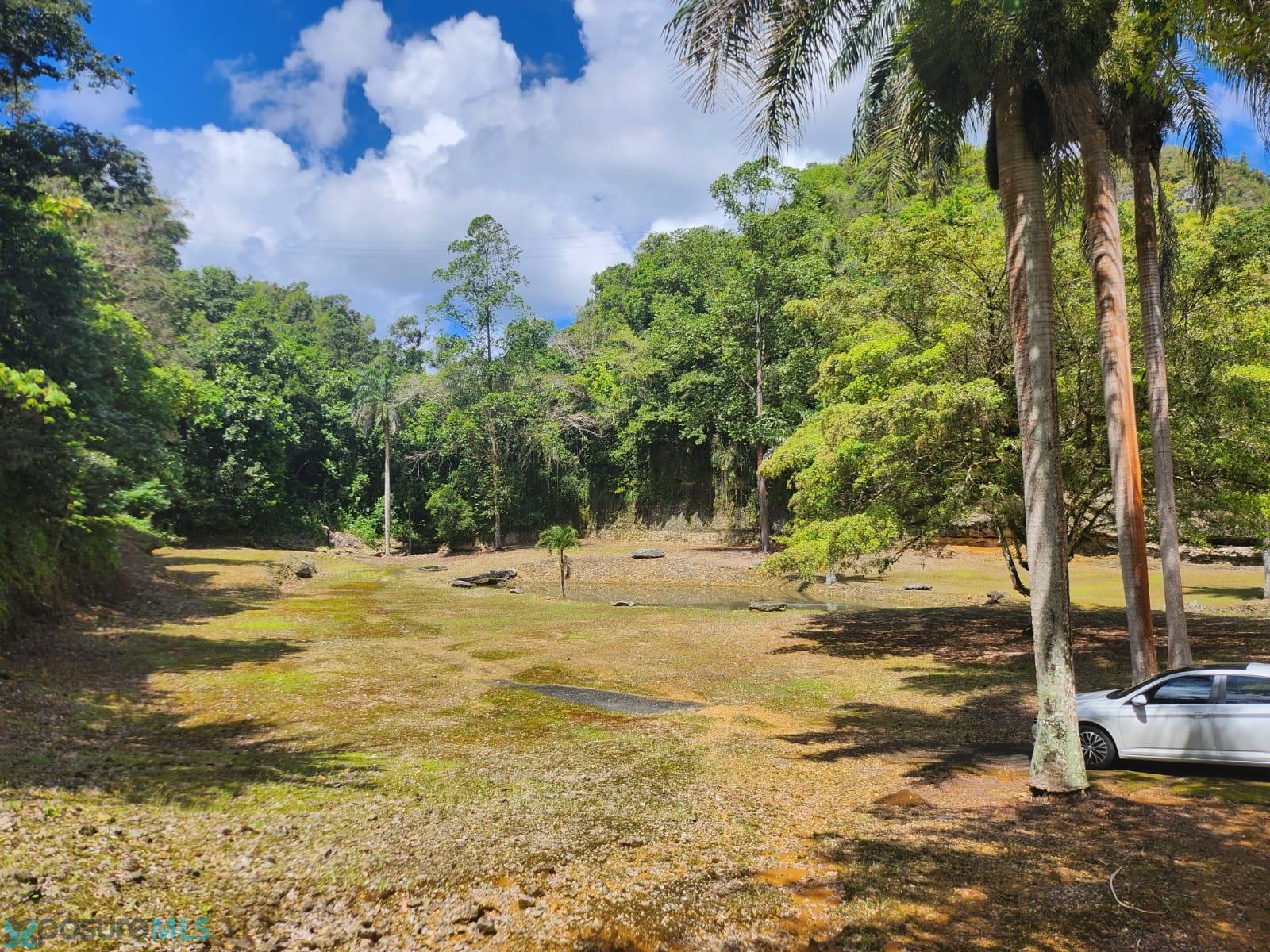 Terreno en Venta - Ciales
