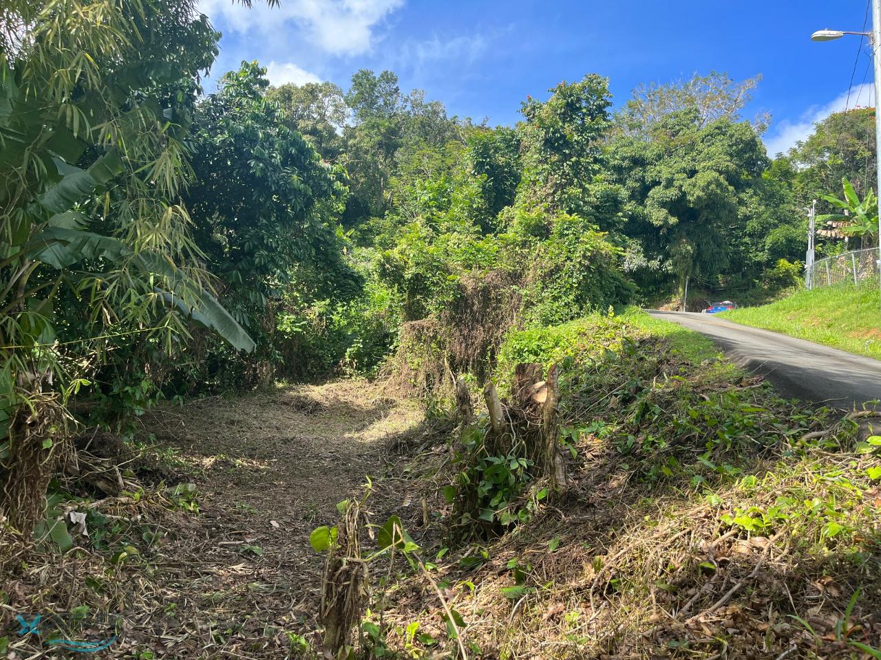 Terreno en Venta - Comerio