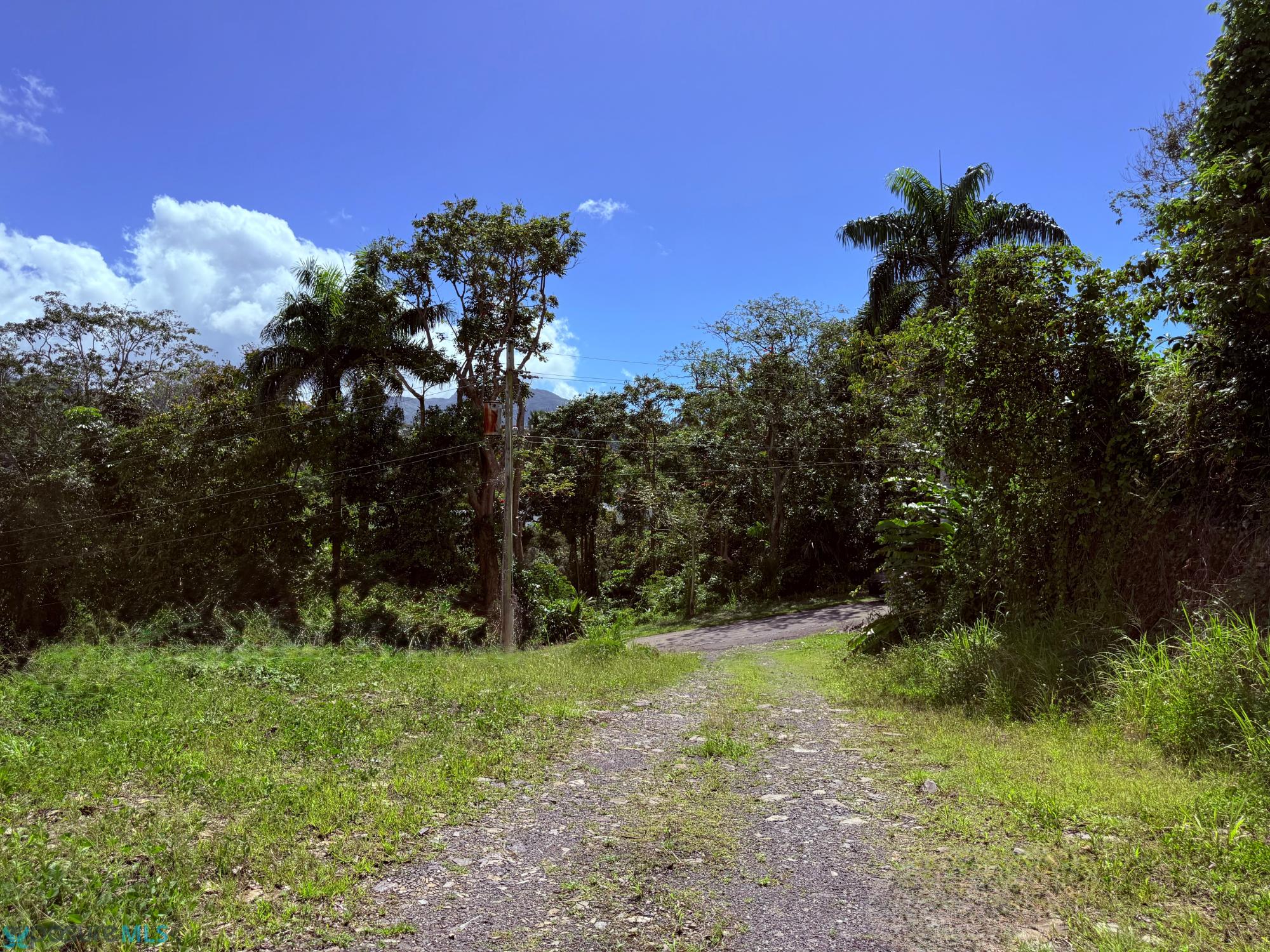 Carr 992 CALLE 1 - 00773 -  - Luquillo