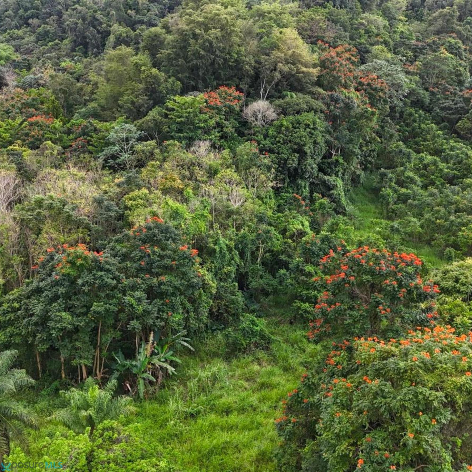 Terreno en Venta - Manatí