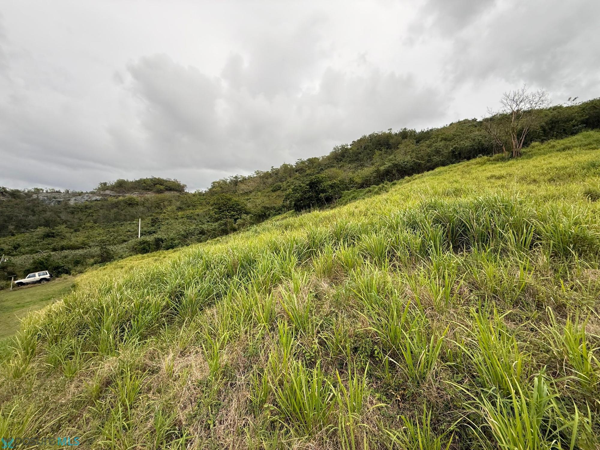 Terreno en Venta - Yauco