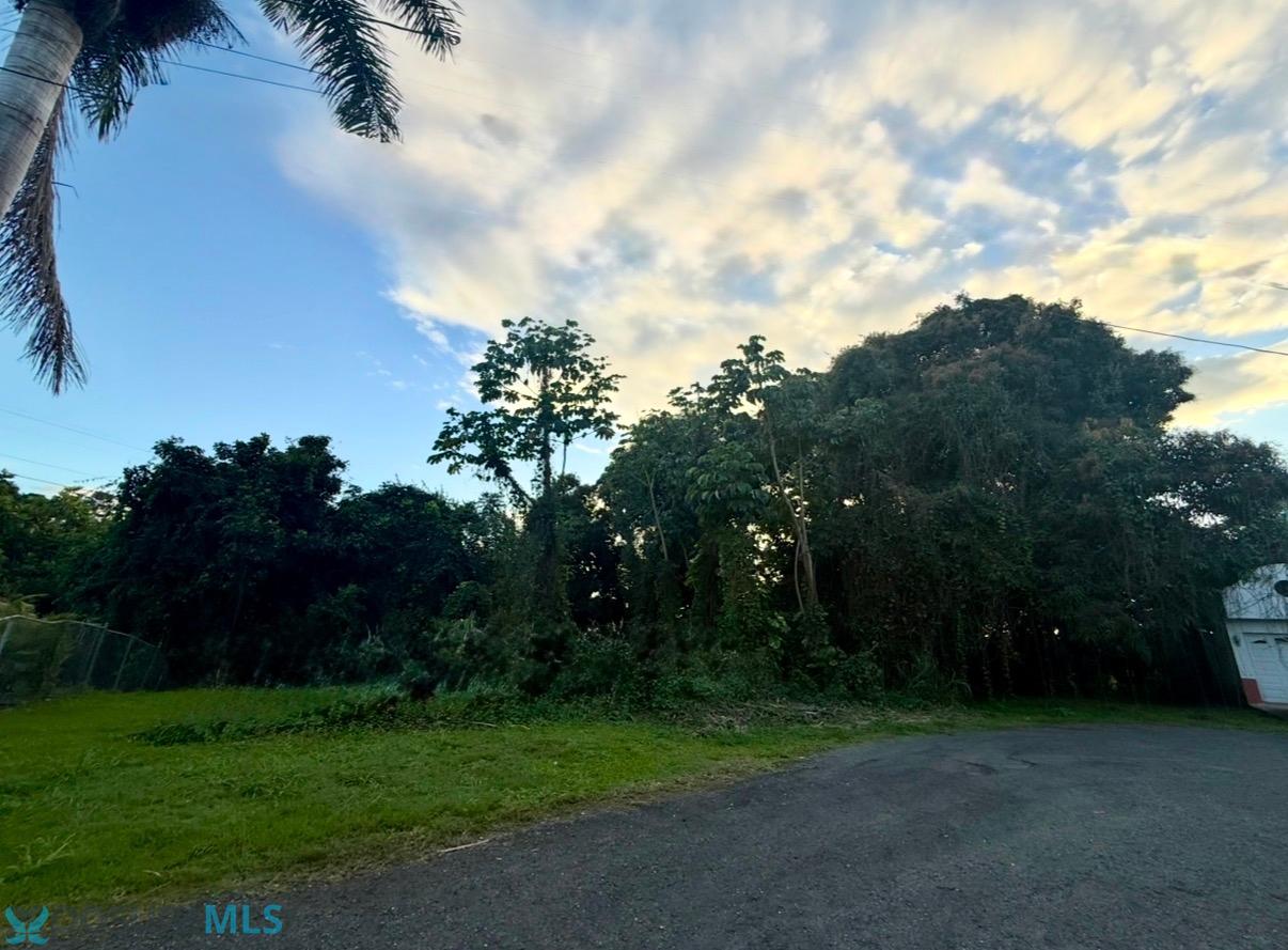423 CARMEN - 00680 -  - Mayaguez