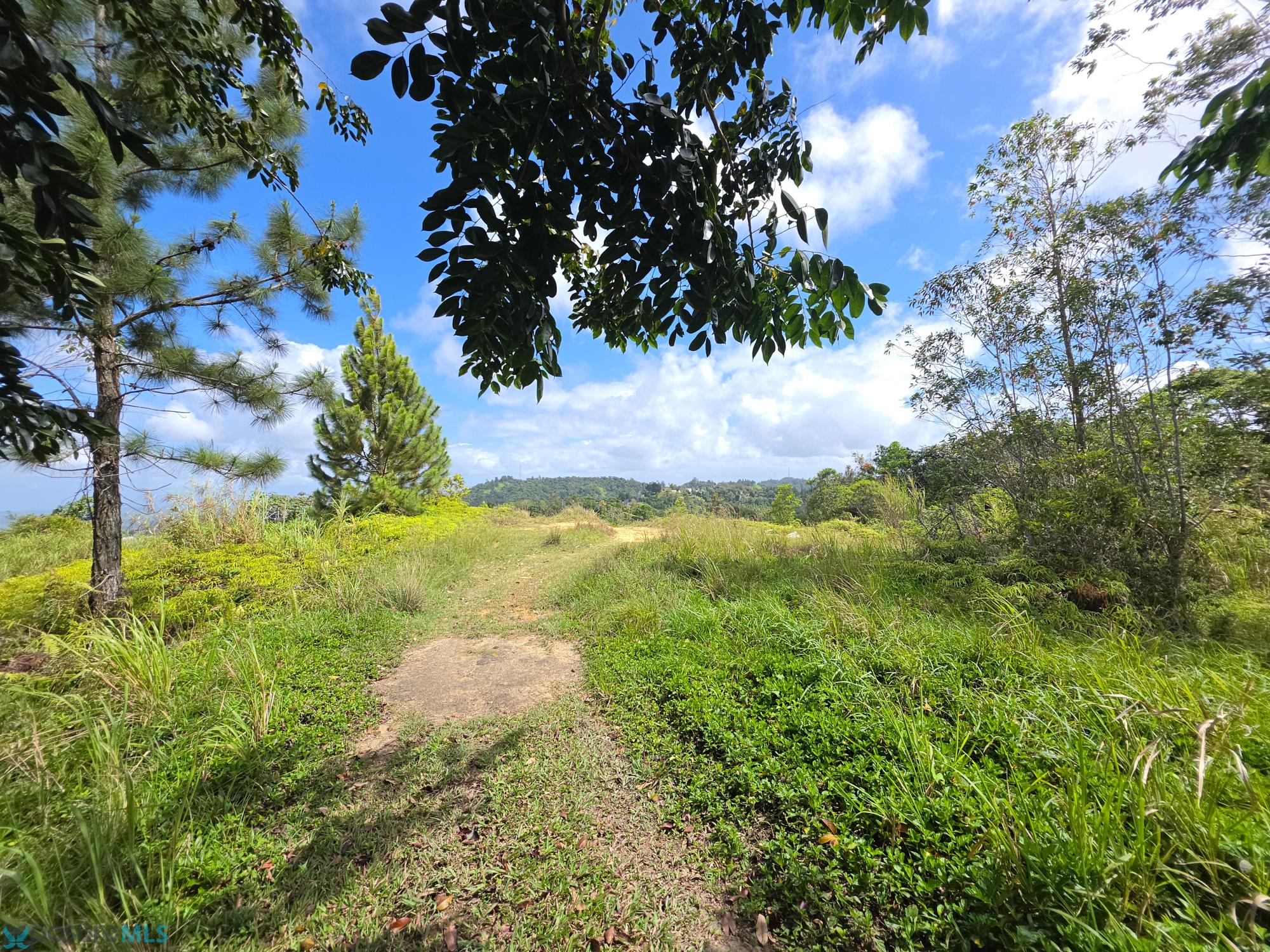 Terreno en Venta - Aguas Buenas