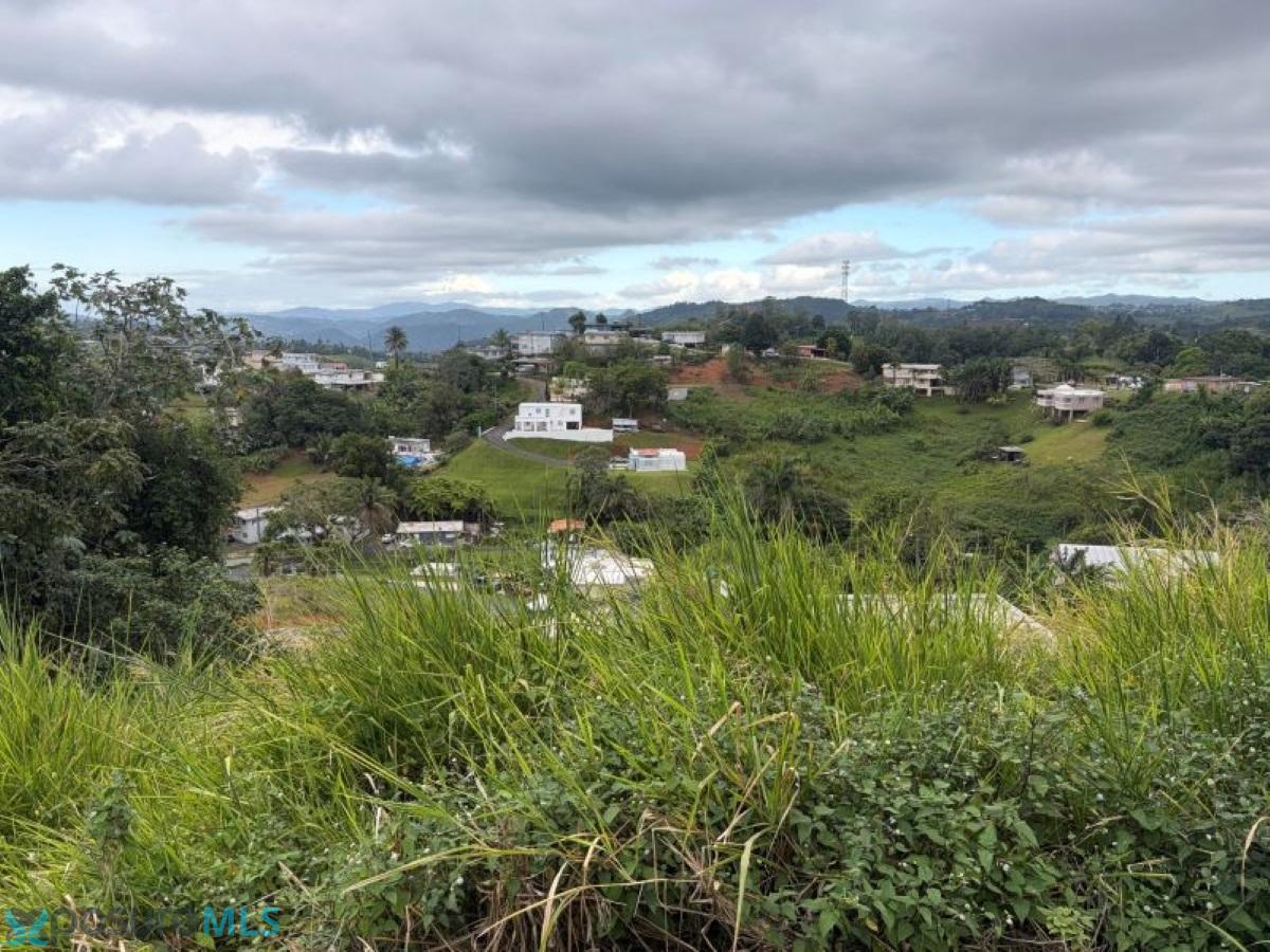 Terreno en Venta - Barranquitas
