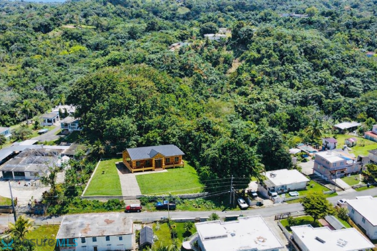 111 JAREALES #111 - 00641 -  - Utuado