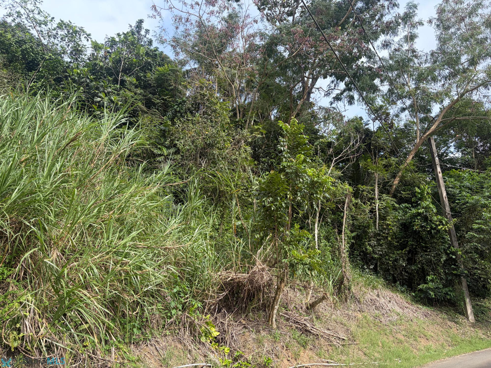 Terreno en Venta - Bayamón