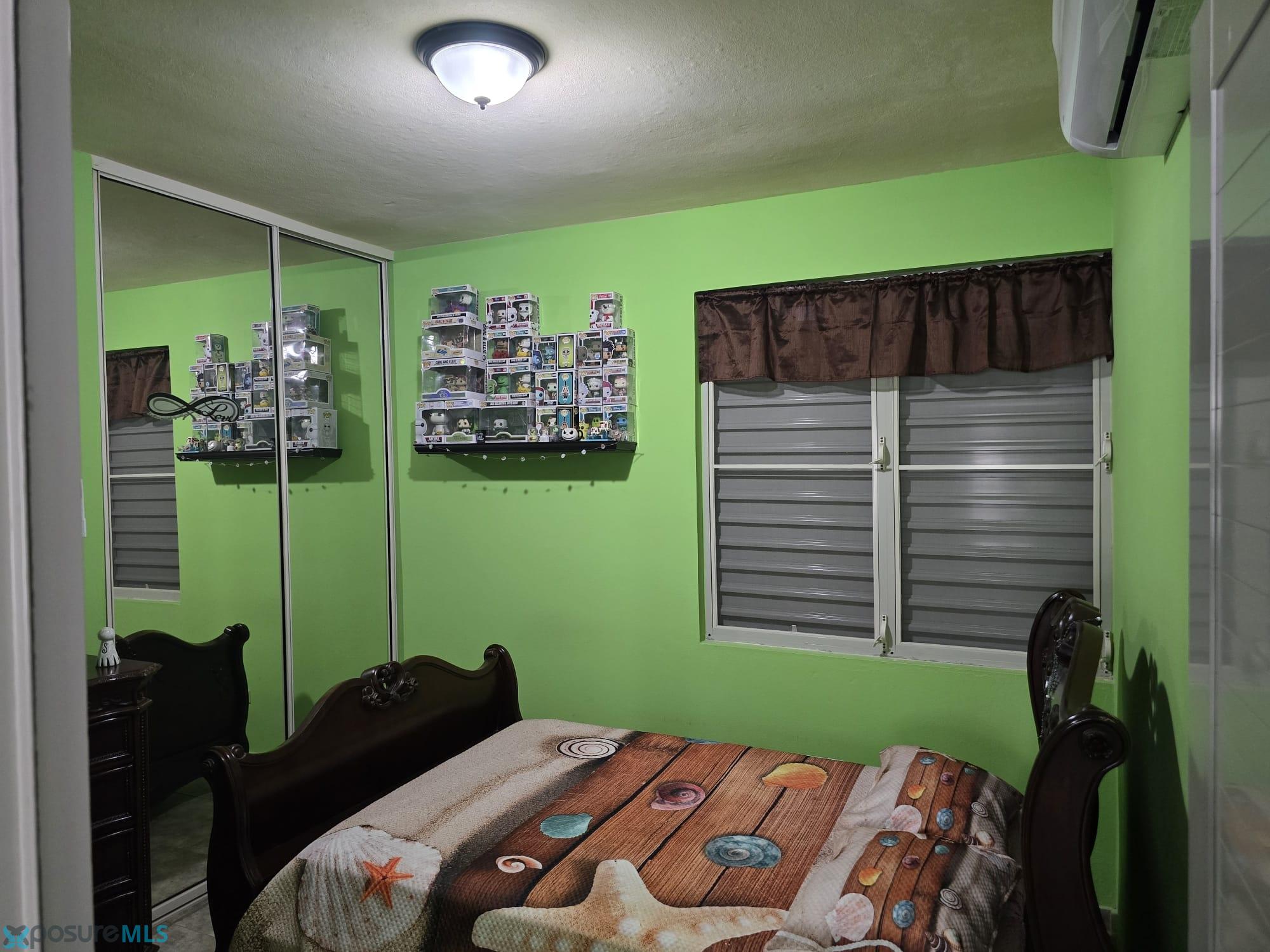 Imagen 5