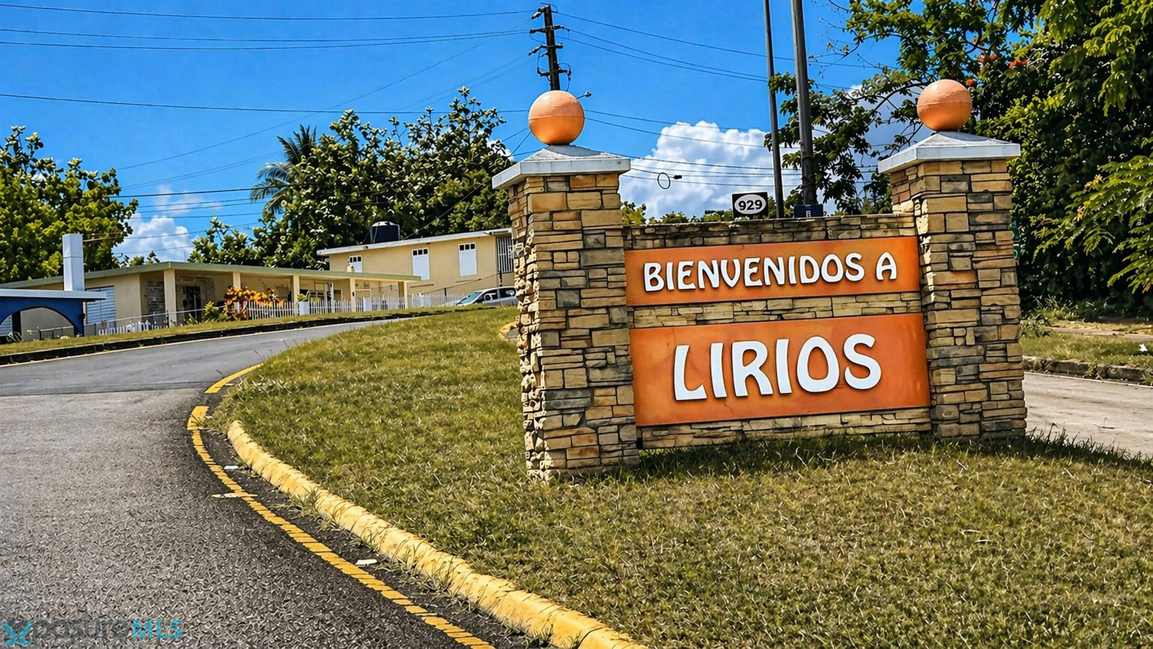 Imagen 7