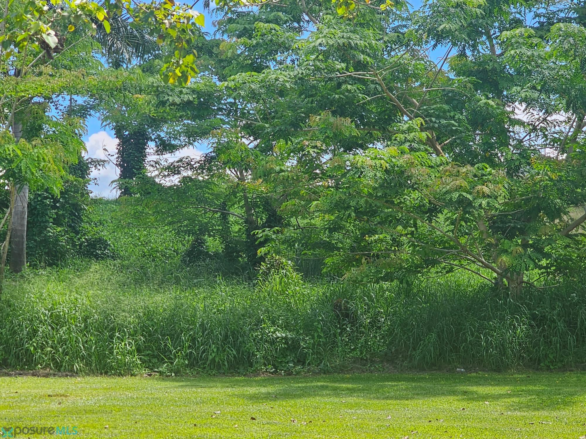Terreno en Venta - Cabo Rojo