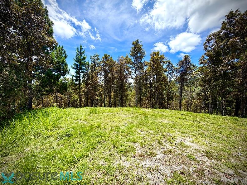 Terreno en Venta - Cayey