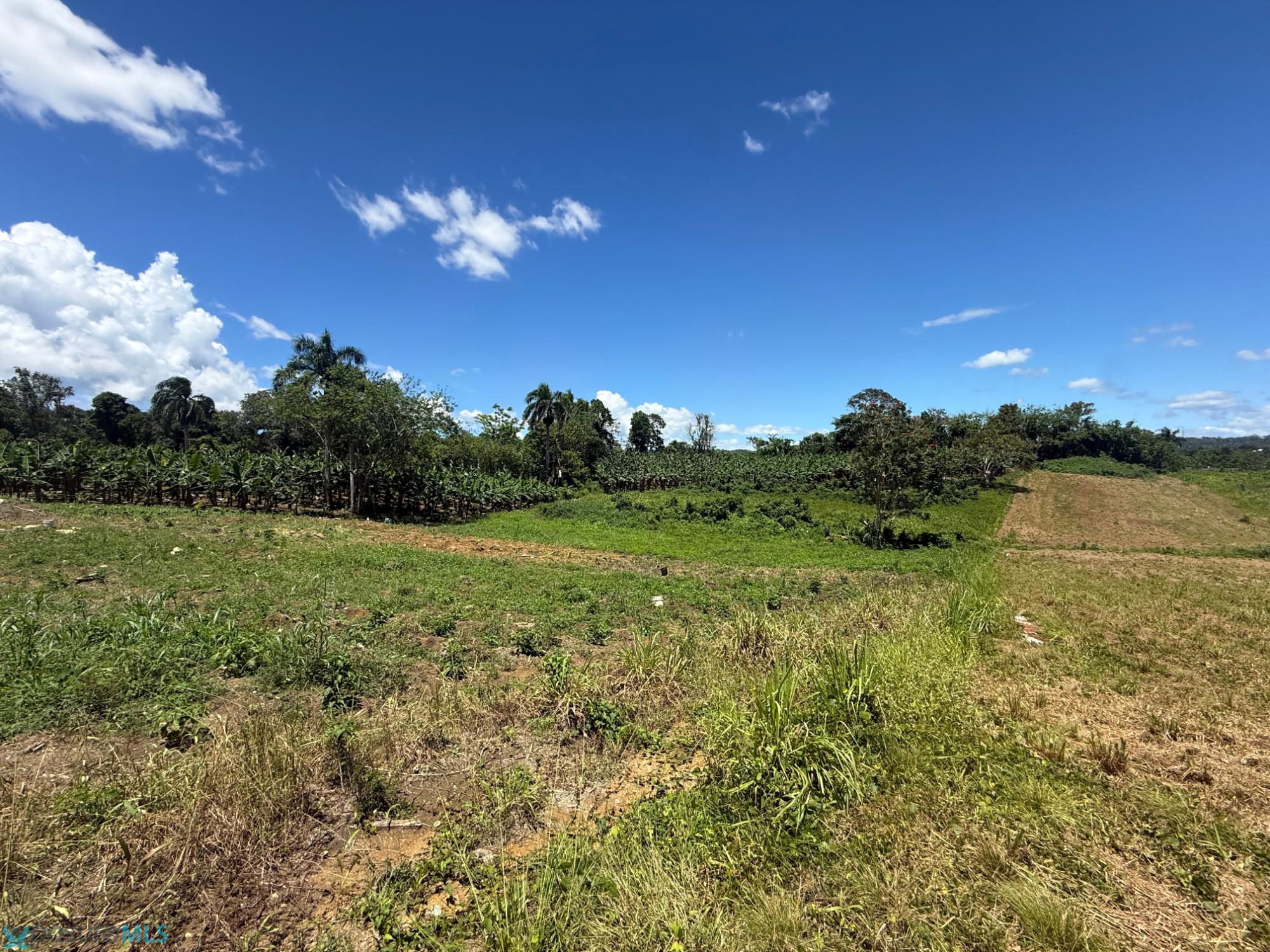 Terreno en Venta - San Sebastián