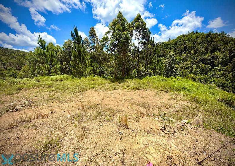 Terreno en Venta - Cayey