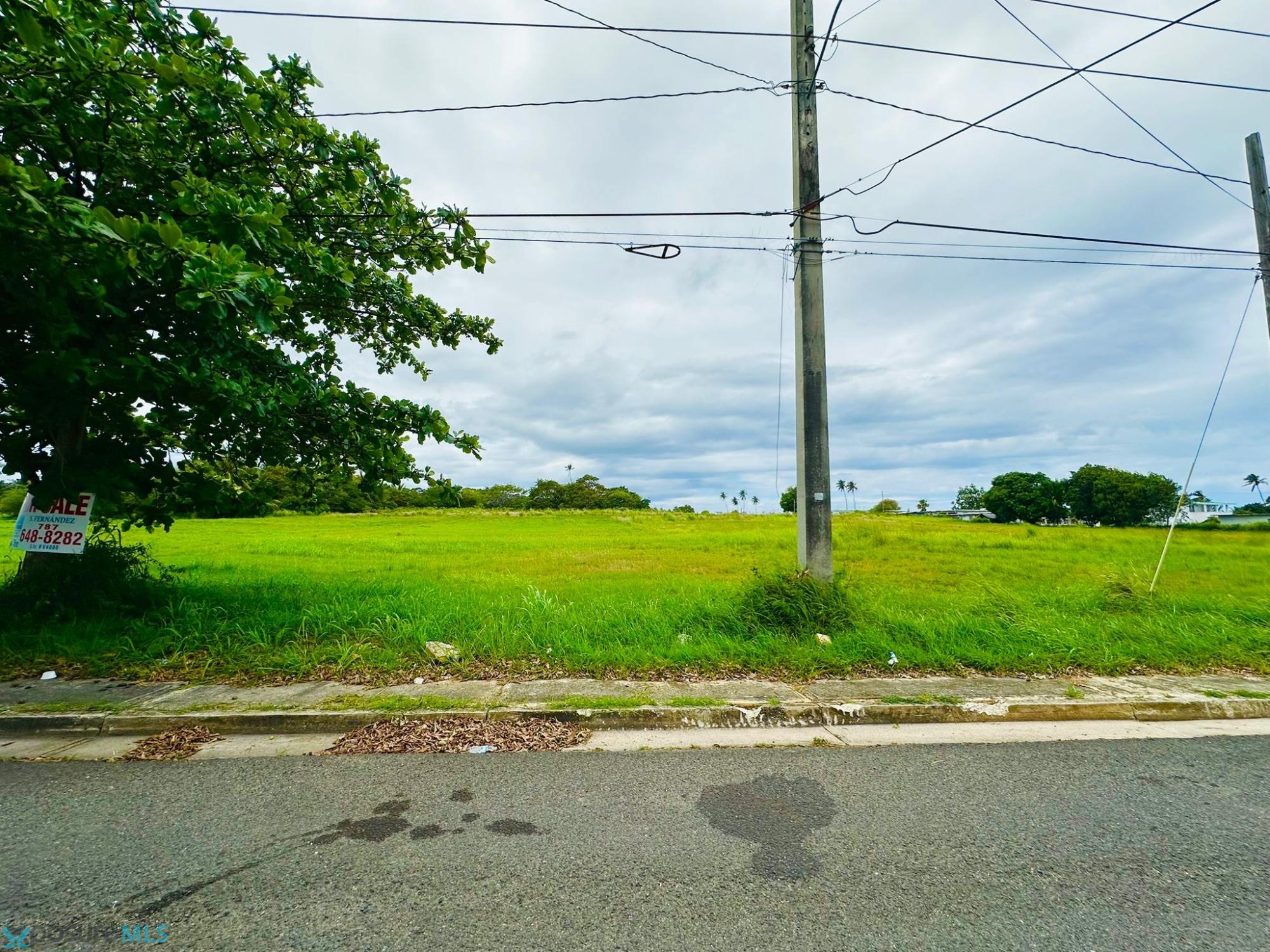 km 2 BARRIO JOBOS RD. 459 - 00662 -  - Isabela