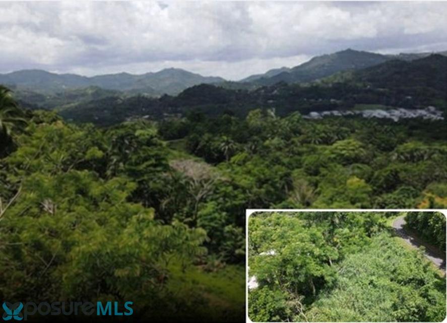 Terreno en Venta - Bayamón