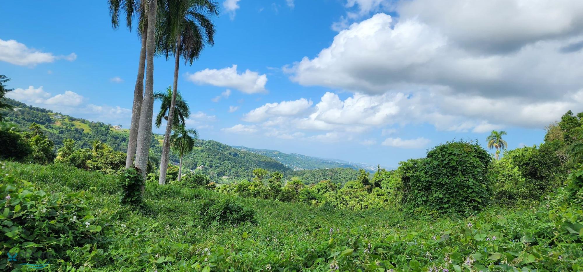 Terreno en Venta - Rio Grande