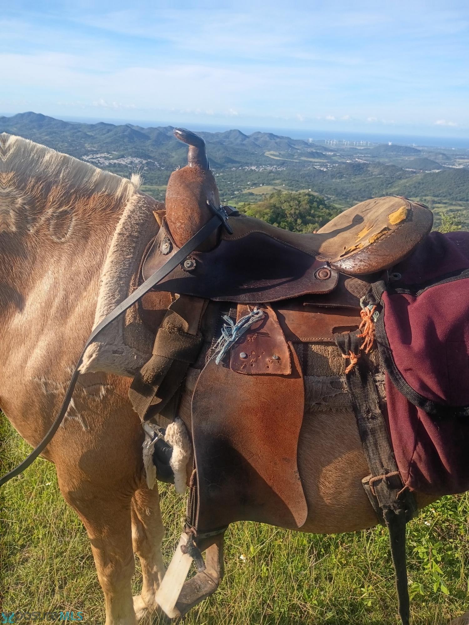 Terreno en Venta - Coamo
