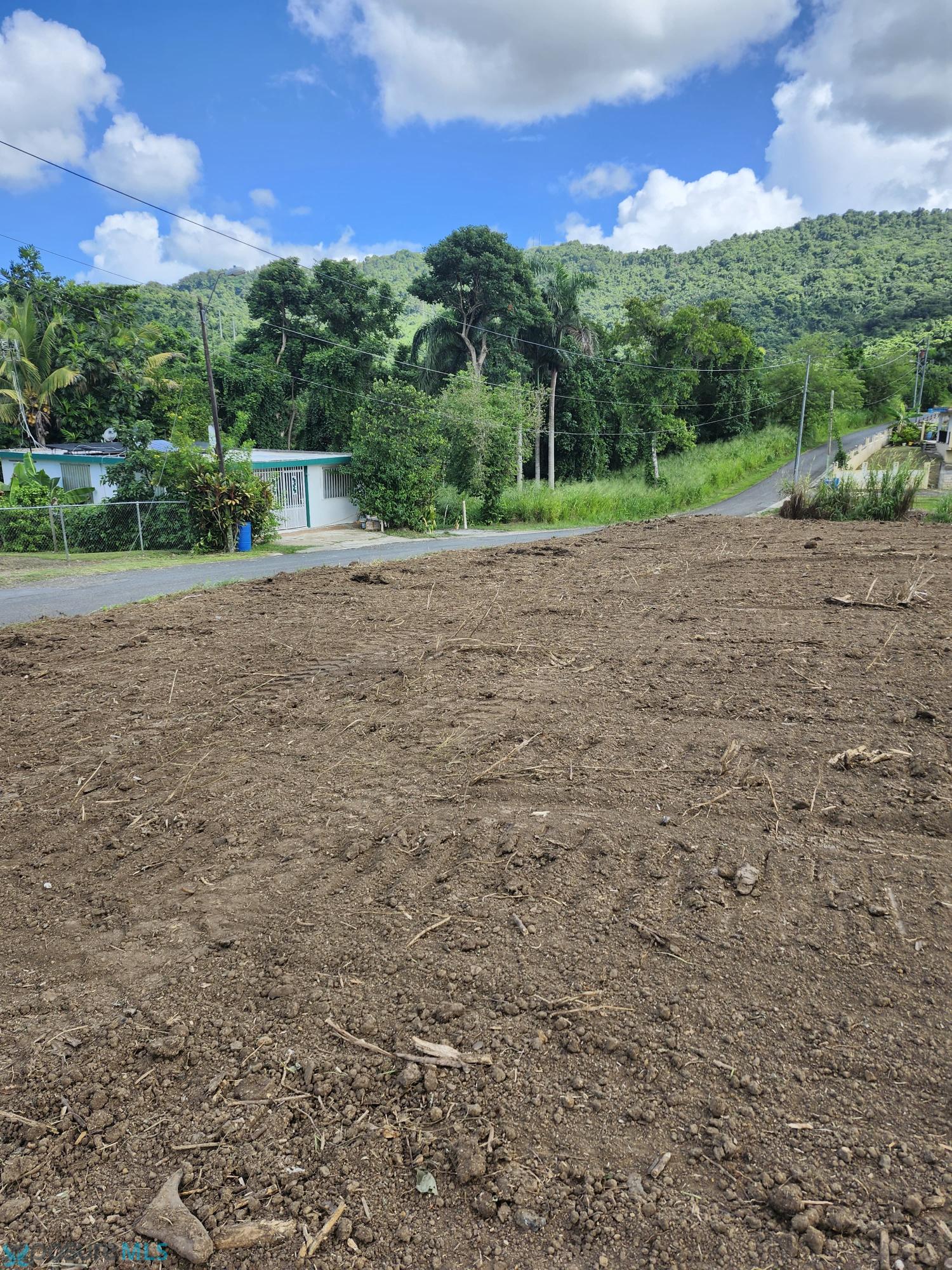 Terreno en Venta - Canovanas