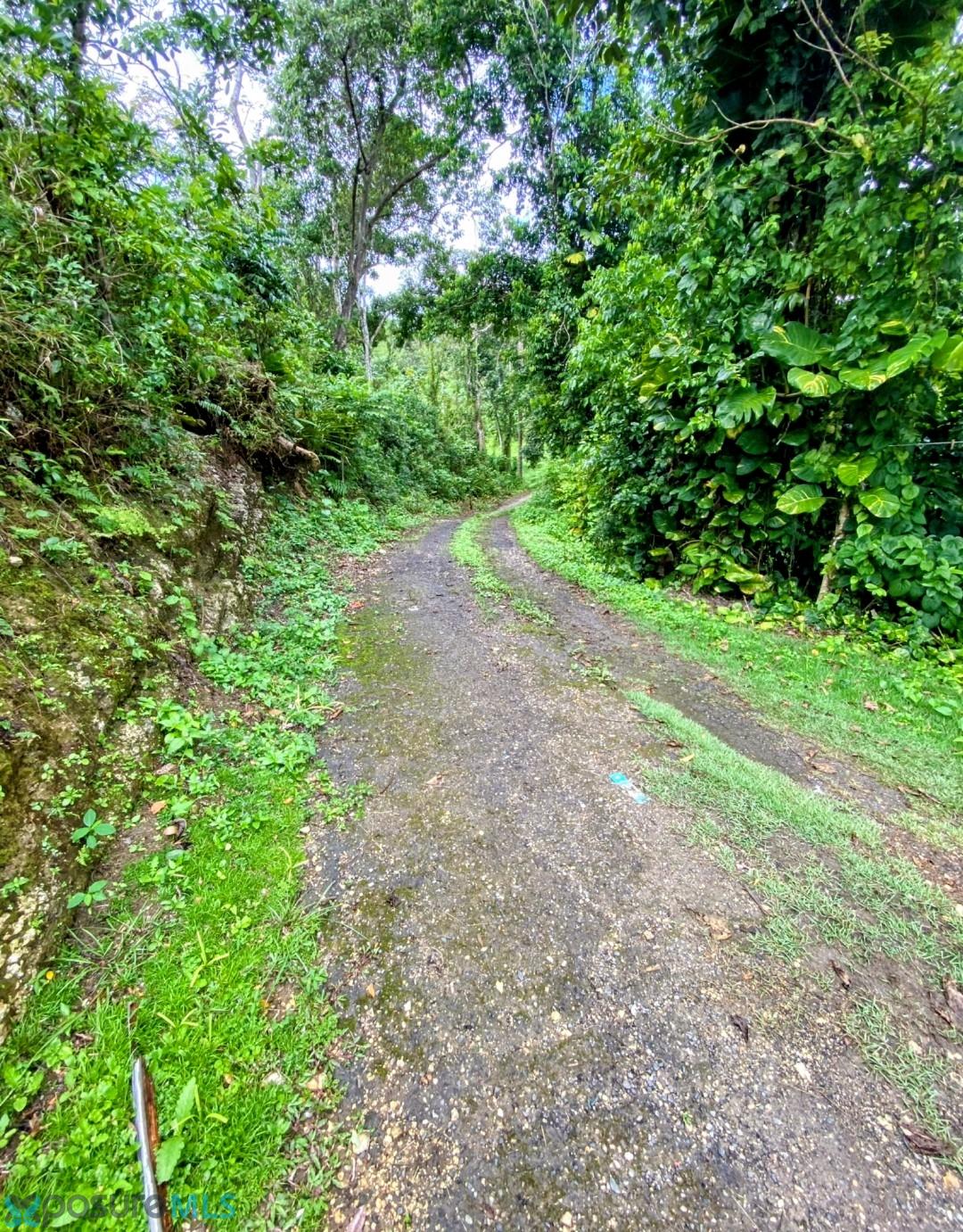 Terreno en Venta - Arecibo