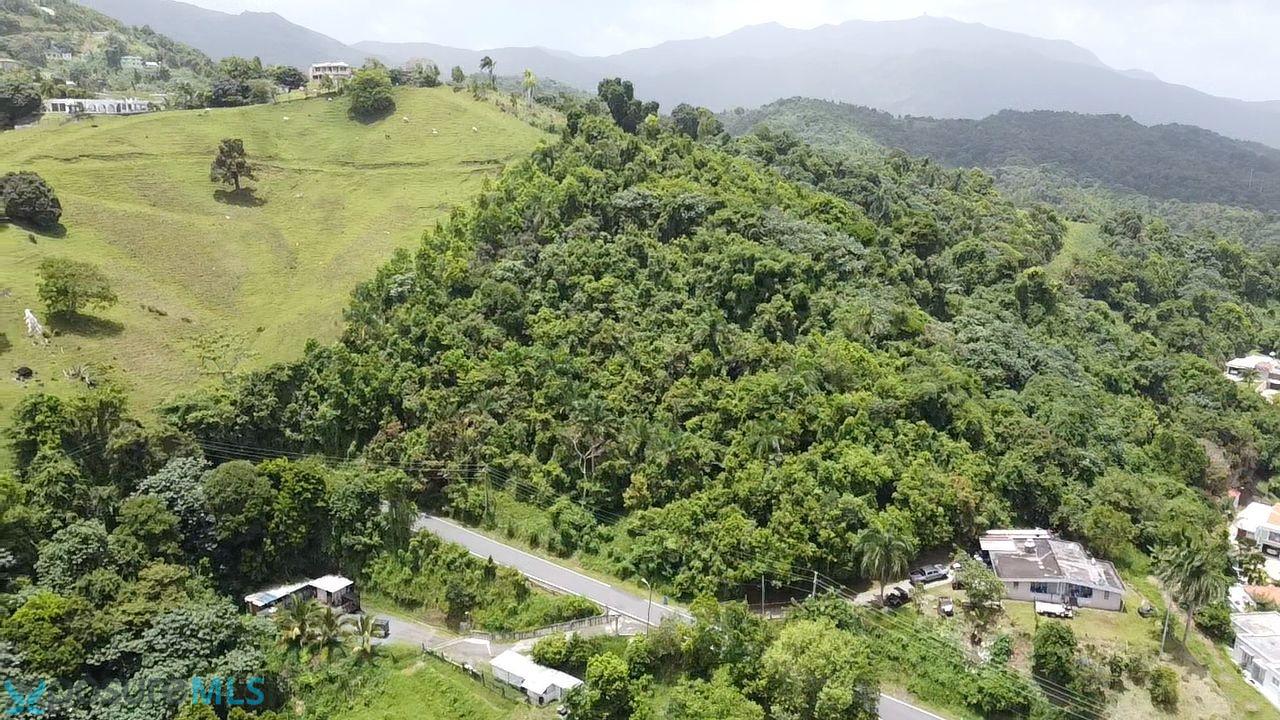 Terreno en Venta - Naguabo