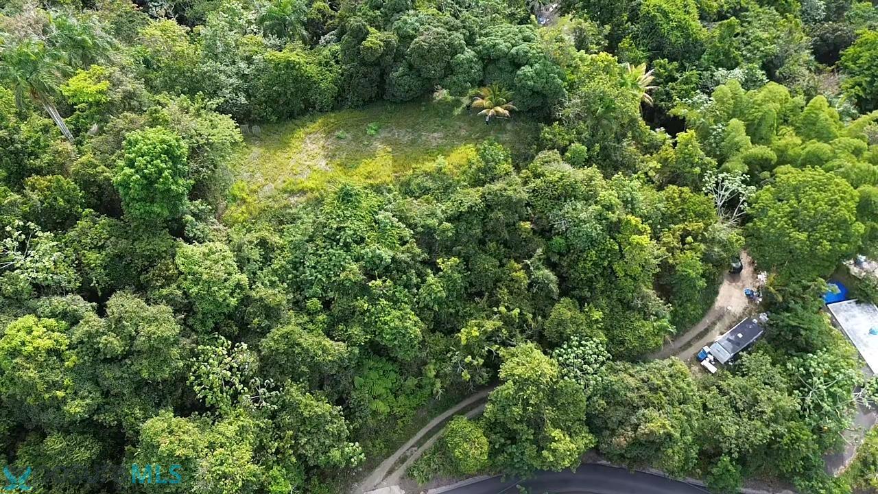 Terreno en Venta - Aguas Buenas