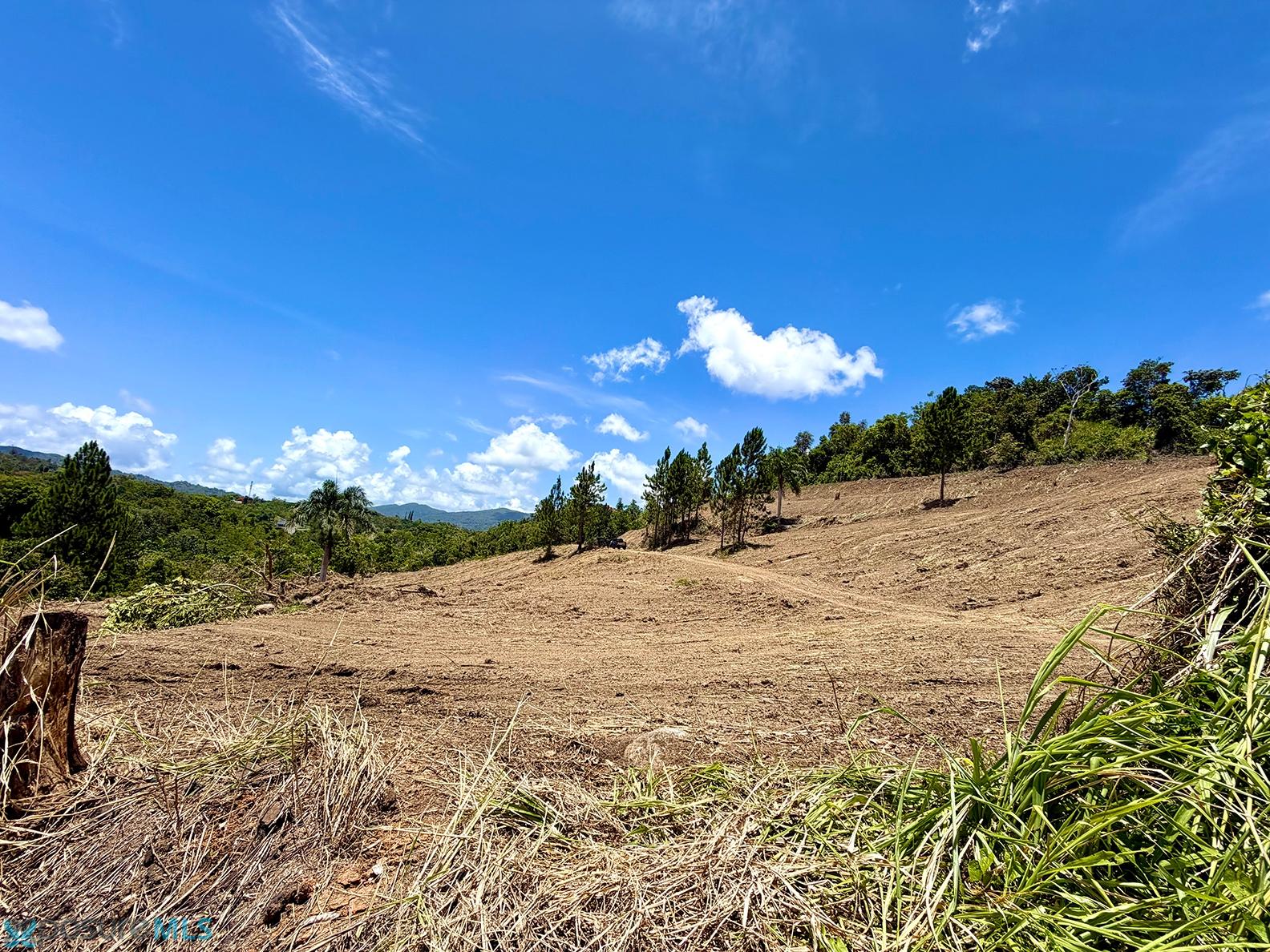 Terreno en Venta - Cidra