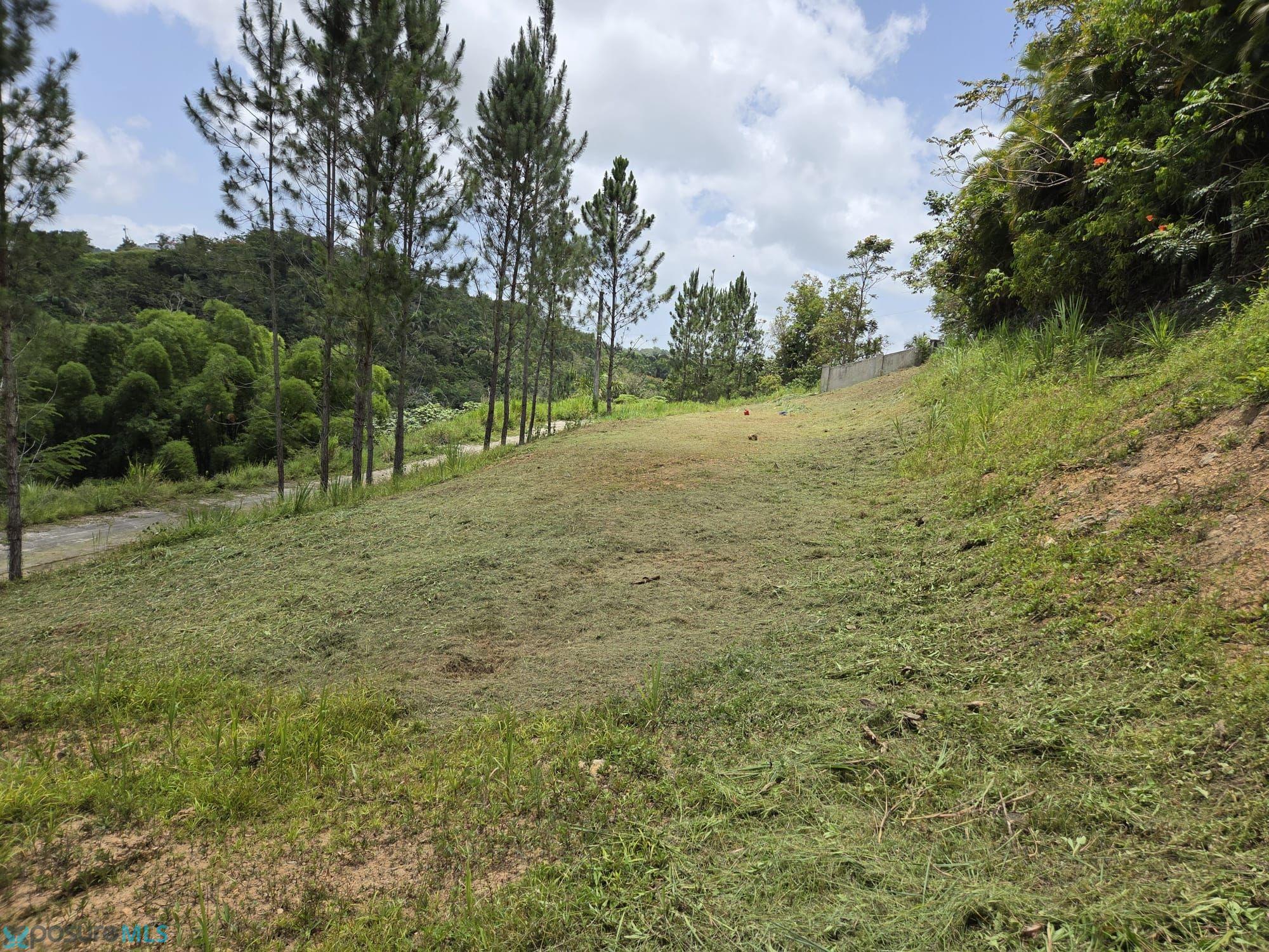 Terreno en Venta - Ceiba