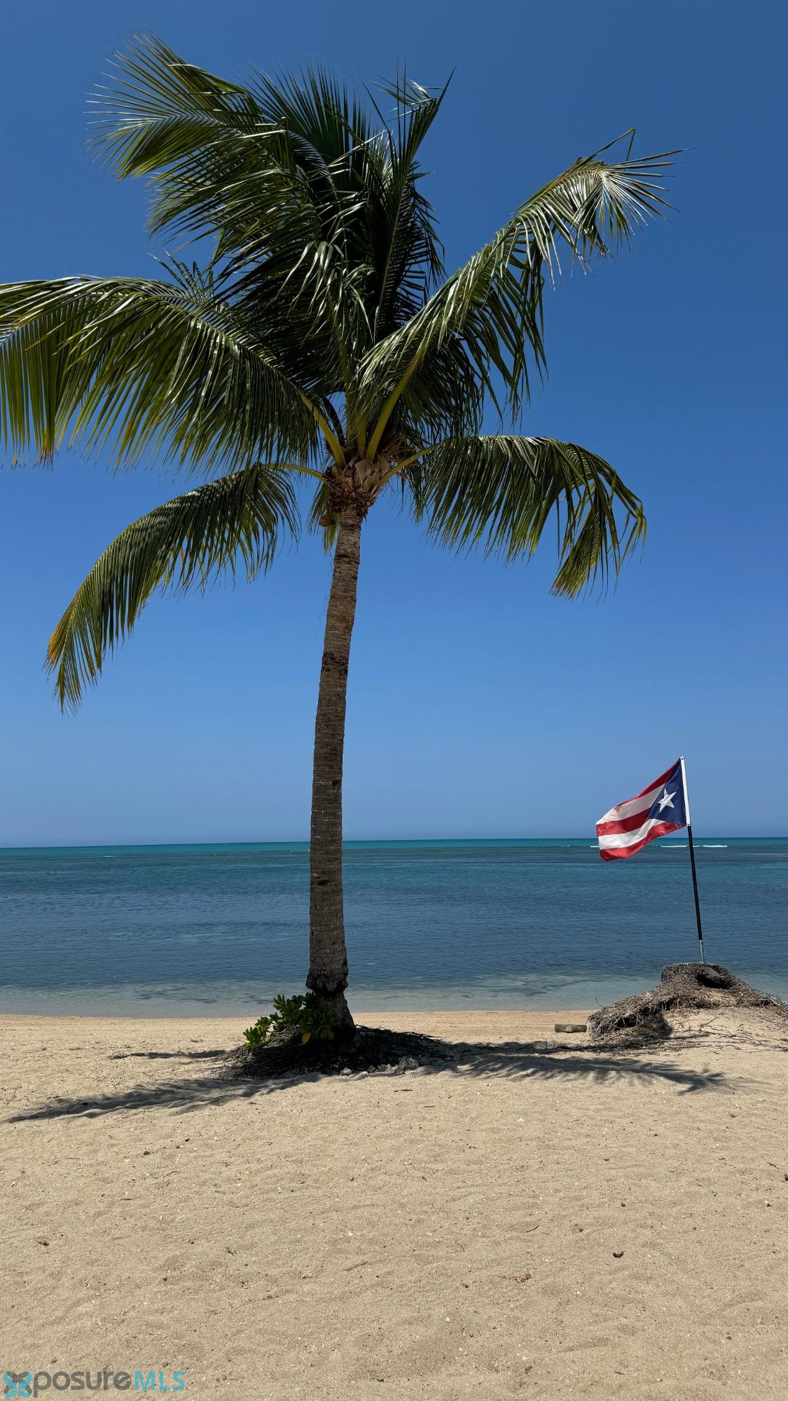Apartamento en Alquiler - Isla Verde