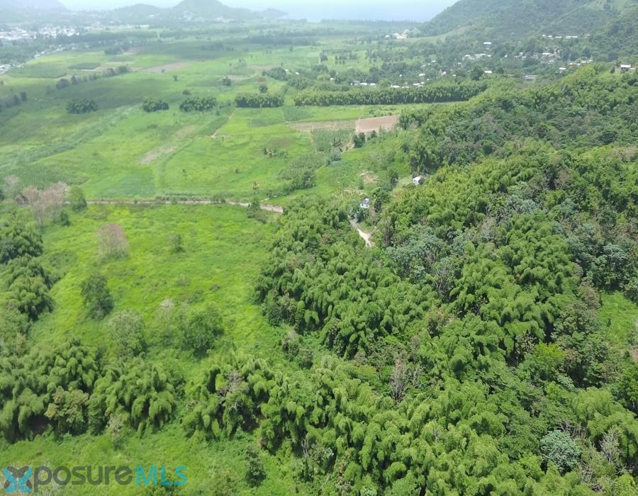 Terreno en Venta - Maunabo