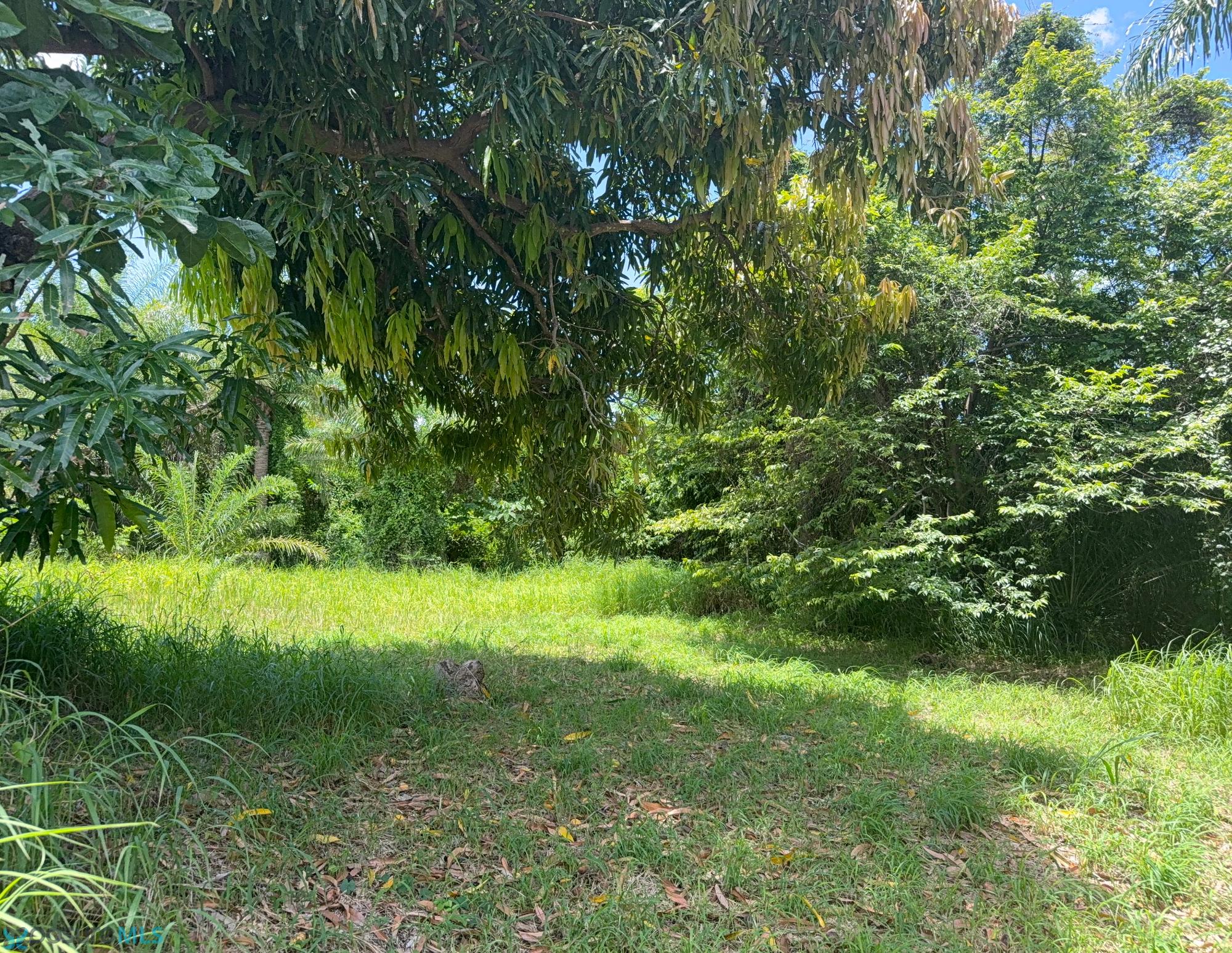 Terreno en Venta - Sabana Grande
