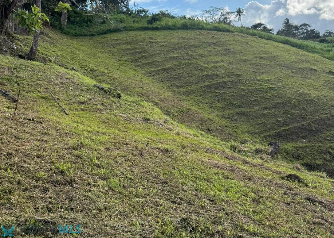 Terreno en Venta - Carolina