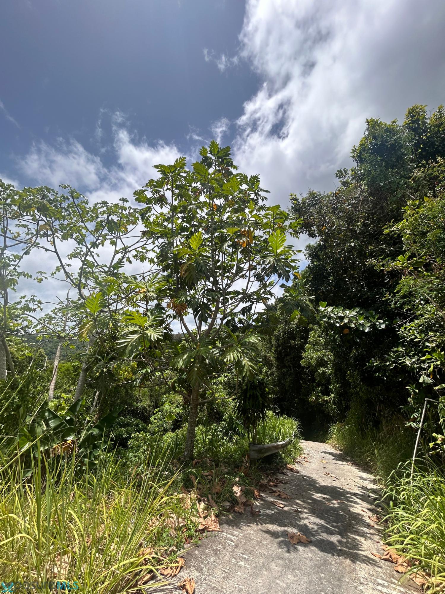 Residencia en Venta - Maricao